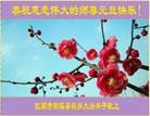 Published on 12/29/2015 ���ֹ�,��½�󷨵��ӹ�ףʦ���������(35��)
