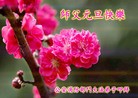 Published on 12/29/2015 ���ֹ�,��½�󷨵��ӹ�ףʦ���������(35��)
