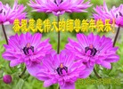 Published on 12/31/2015 ���ֹ�,��½���Ӵ󷨵��ӹ�ףʦ�������
