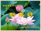 Published on 12/31/2015 ���ֹ�,��½���Ӵ󷨵��ӹ�ףʦ�������
