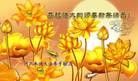 ���ֹ�,�ӱ��󷨵��ӹ�ףʦ���������(25��)
