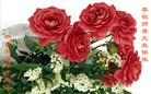���ֹ�,�ӱ��󷨵��ӹ�ףʦ���������(22��)
