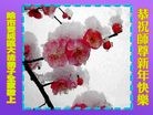 ���ֹ�,�������󷨵��ӹ�ףʦ��Ԫ������(22��)
