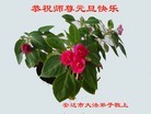 ���ֹ�,�������󷨵��ӹ�ףʦ���������(25��)
