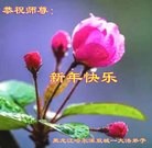 ���ֹ�,�������󷨵��ӹ�ףʦ���������(23��)
