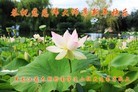 ���ֹ�,��ľ˹�󷨵��ӹ�ףʦ�������(23��)
