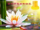 ���ֹ�,�������󷨵��ӹ�ףʦ���������(20��)
