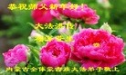 Published on 12/31/2015 ���ֹ�,��½�󷨵��ӹ�ףʦ���������(41��)
