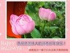 Published on 12/31/2015 ���ֹ�,��½�󷨵��ӹ�ףʦ���������(32��)
