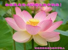 Published on 12/31/2015 ���ֹ�,��½�󷨵��ӹ�ףʦ���������(32��)
