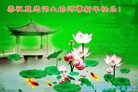 Published on 12/31/2015 ���ֹ�,��½�󷨵��ӹ�ףʦ���������(32��)
