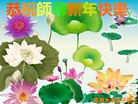 Published on 12/31/2015 ���ֹ�,��½�󷨵��ӹ�ףʦ���������(32��)
