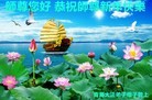 Published on 12/31/2015 ���ֹ�,��½�󷨵��ӹ�ףʦ���������(32��)
