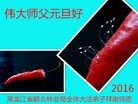 Published on 12/31/2015 ���ֹ�,��½�󷨵��ӹ�ףʦ���������(32��)
