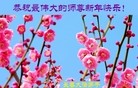 Published on 1/1/2016 ���ֹ�,��½�󷨵��ӹ�ףʦ���������(42��)
