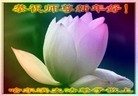 Published on 1/1/2016 ���ֹ�,��½�󷨵��ӹ�ףʦ���������(24��)
