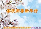 Published on 1/1/2016 ���ֹ�,��½�󷨵��ӹ�ףʦ���������(24��)
