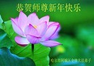 Published on 1/1/2016 ���ֹ�,��½�󷨵��ӹ�ףʦ���������(45��)

