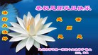 Published on 1/1/2016 ���ֹ�,��½�󷨵��ӹ�ףʦ���������(25��)
