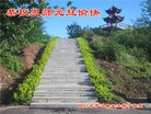 Published on 1/1/2016 ���ֹ�,��½�󷨵��ӹ�ףʦ���������(25��)
