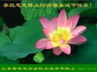 Published on 1/1/2016 ���ֹ�,��½�󷨵��ӹ�ףʦ���������(42��)

