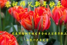 Published on 12/29/2015 ���ֹ�,��½�󷨵��ӹ�ףʦ���������(29��)
