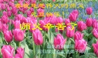 Published on 1/1/2016 ���ֹ�,��½�󷨵��ӹ�ףʦ���������(25��)

