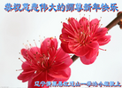Published on 1/1/2016 ���ֹ�,��½�󷨵��ӹ�ףʦ���������(25��)
