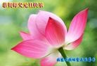 Published on 1/1/2016 ���ֹ�,��½�󷨵��ӹ�ףʦ���������(25��)
