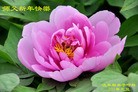 Published on 1/1/2016 ���ֹ�,��½�󷨵��ӹ�ףʦ���������(25��)
