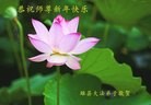 ���ֹ�,�����󷨵��ӹ�ףʦ���������(28��)

