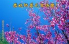 ���ֹ�,�ػʵ��󷨵��ӹ�ףʦ���������(23��)
