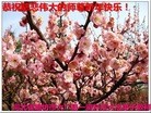 Published on 1/1/2016 ���ֹ�,����ҵ�󷨵��ӹ�ףʦ���������(33��)
