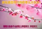 Published on 12/31/2015 ���ֹ�,��½�󷨵��ӹ�ףʦ���������(31��)
