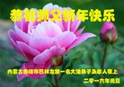 Published on 1/1/2016 ���ֹ�,��½�󷨵��ӹ�ףʦ���������(40��)
