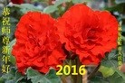 Published on 12/31/2015 ���ֹ�,��½�󷨵��ӹ�ףʦ���������(26��)
