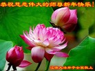Published on 12/31/2015 ���ֹ�,��½�󷨵��ӹ�ףʦ���������(26��)
