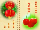 Published on 1/1/2016 ���ֹ�,��½�󷨵��ӹ�ףʦ���������(28��)
