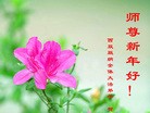 Published on 1/1/2016 ���ֹ�,��½�󷨵��ӹ�ףʦ���������(33��)
