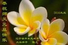 Published on 1/1/2016 ���ֹ�,��½�󷨵��ӹ�ףʦ���������(28��)
