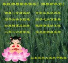 Published on 1/1/2016 ���ֹ�,��½�󷨵��ӹ�ףʦ���������(28��)
