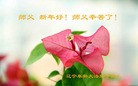 Published on 1/1/2016 ���ֹ�,��½�󷨵��ӹ�ףʦ���������(28��)
