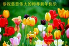 Published on 1/1/2016 ���ֹ�,��½�󷨵��ӹ�ףʦ���������(28��)
