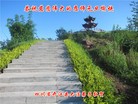 Published on 1/1/2016 ���ֹ�,��½�󷨵��ӹ�ףʦ���������(25��)
