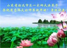 Published on 12/31/2015 ���ֹ�,��½�󷨵��ӹ�ףʦ���������(31��)

