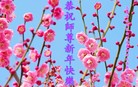 Published on 12/31/2015 ���ֹ�,��½�󷨵��ӹ�ףʦ���������(34��)
