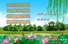 Published on 12/29/2015 ���ֹ�,��½�󷨵��ӹ�ףʦ���������(27��)
