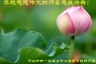 Published on 1/1/2016 ���ֹ�,��½�󷨵��ӹ�ףʦ���������(37��)
