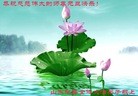 Published on 1/1/2016 ���ֹ�,��½�󷨵��ӹ�ףʦ���������(37��)
