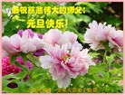 Published on 12/31/2015 ���ֹ�,��½�󷨵��ӹ�ףʦ���������(31��)
